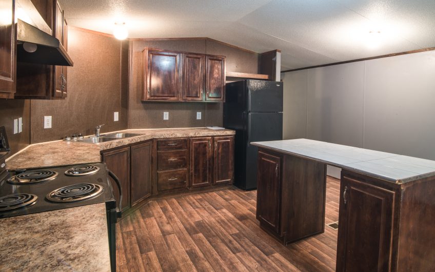 SELLER FINANCING ON THIS 2015 MOBILE HOME ON 1 ACRE IN RED ROCK!